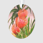 Pincushion Tango #1 Ornament (Vorderseite)