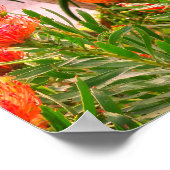 Pincushion Tango #1 Poster (Ecke)