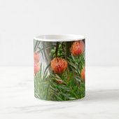 Pincushion Tango #1 Tasse (Mittel)