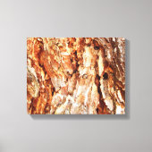 Pine Bark Canvas Print Leinwanddruck (Vorderseite)