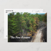 Pine Barrens Postkarte (Vorne/Hinten)