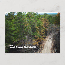 Pine Barrens Postkarte