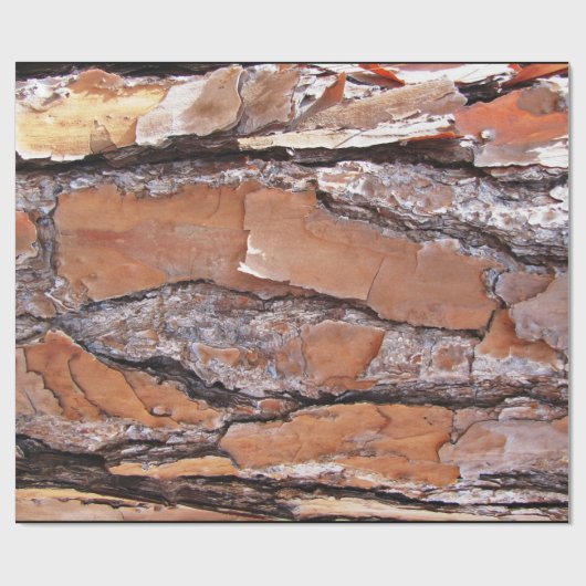 Pine Barry Wrapping Paper neu Geschenkpapier (Flach)