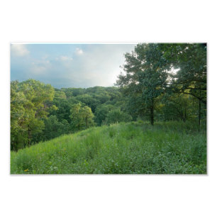 Pine Bend Bluff mit Blick auf die Wälder des Tals Fotodruck