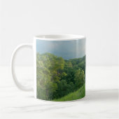 Pine Bend Bluff mit Blick auf die Wälder des Tals Kaffeetasse (Links)