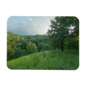 Pine Bend Bluff mit Blick auf die Wälder des Tals Magnet (Horizontal)