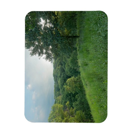 Pine Bend Bluff mit Blick auf die Wälder des Tals Magnet (Vertikal)