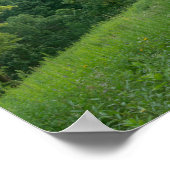 Pine Bend Bluff mit Blick auf die Wälder des Tals Poster (Ecke)