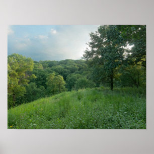 Pine Bend Bluff mit Blick auf die Wälder des Tals Poster