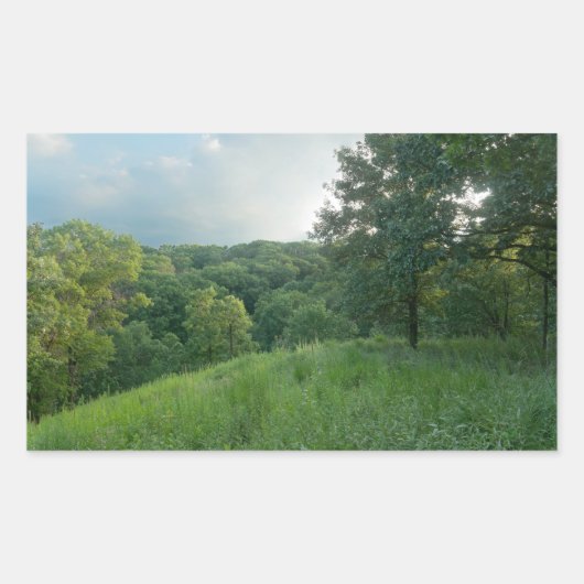 Pine Bend Bluff mit Blick auf die Wälder des Tals Rechteckiger Aufkleber (Vorderseite)