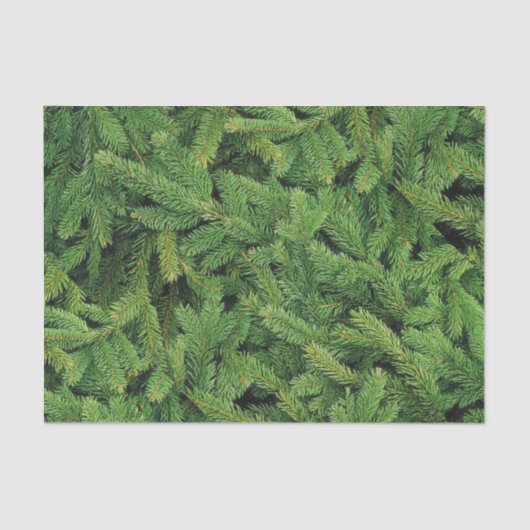 Pine Blanket Tissue Paper Seidenpapier (Vorderseite)