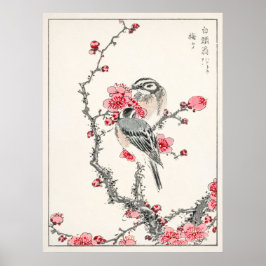 Pine Bunting on Plum Tree by Numata Kashu Poster