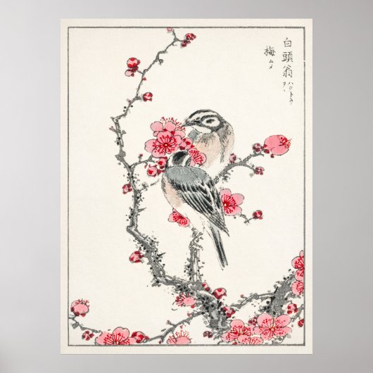 Pine Bunting on Plum Tree by Numata Kashu Poster (Vorne)