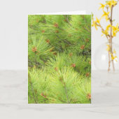 Pine Christmas Card Karte (Gelbe Blume)