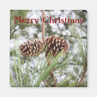 Pine Christmas Magnet