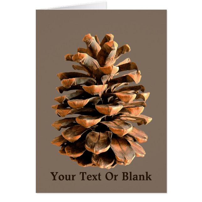 Pine Cone (Vorne)