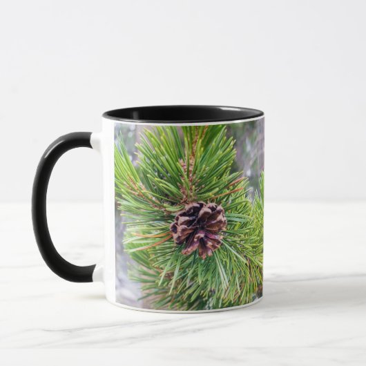Pine Cone aus Lodgepole Pine Tasse (Links)