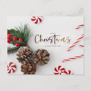 Pine Cone & Candy Cane Grüße Feiertagspostkarte