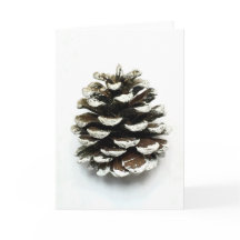 Pine Cone
