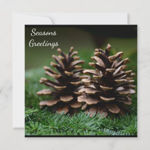 Pine Cone Frohen Festtage Postkarte