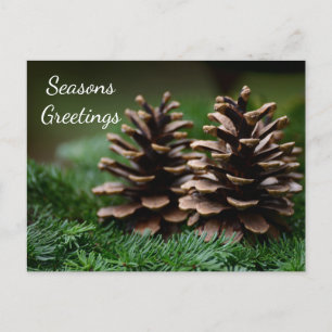 Pine Cone Frohen Festtage Postkarte