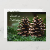 Pine Cone Frohen Festtage Postkarte (Vorne/Hinten)