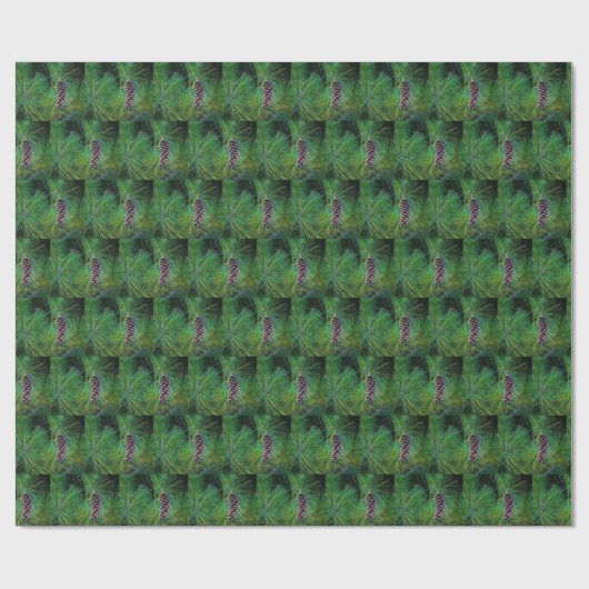 Pine Cone Geschenkpapier (Flach)