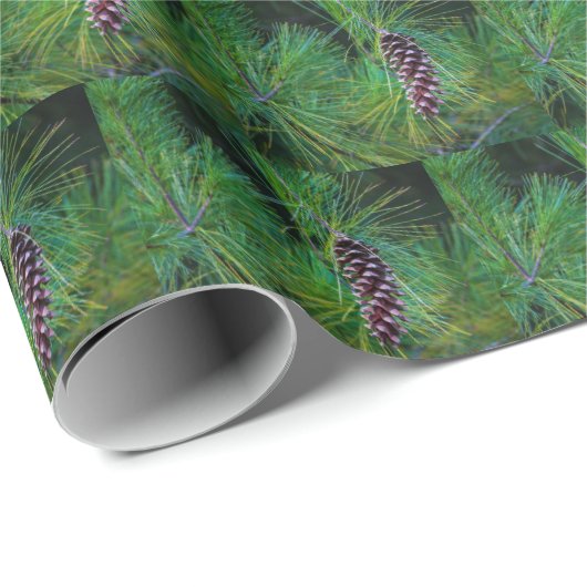 Pine Cone Geschenkpapier (Rolleneckpunkt)