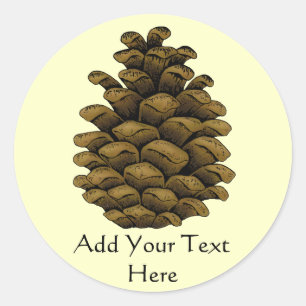 Pine cone Illustration Runder Aufkleber