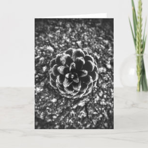Pine Cone Karte