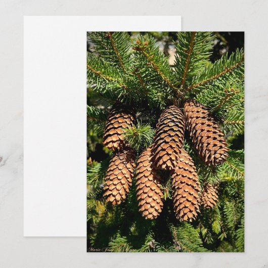 Pine Cone Magic Feiertagskarte (Vorne/Hinten)