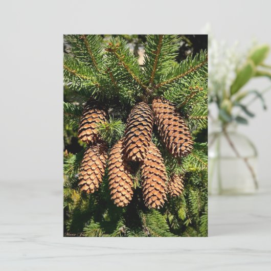 Pine Cone Magic Feiertagskarte (Stehend Vorderseite)