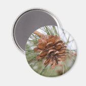 Pine Cone Magnet (Vorderseite/Rückseite)