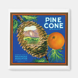 Pine Cone Orange Magnet
