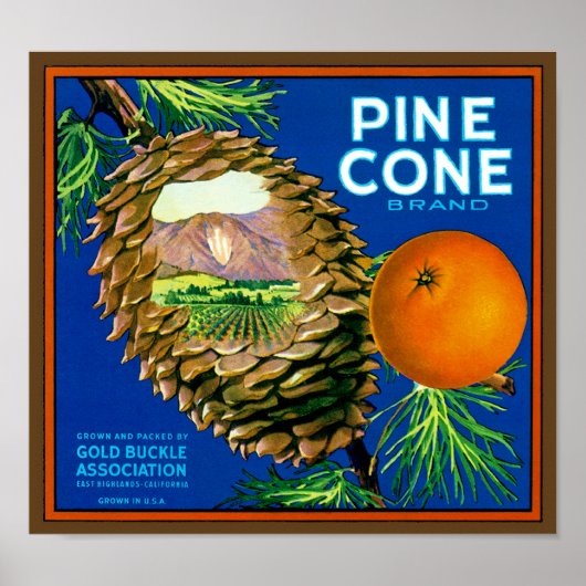 Pine Cone Orange Poster (Vorne)