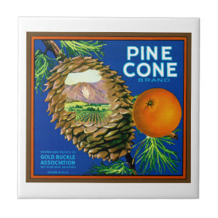 Pine Cone Orangen Fliese