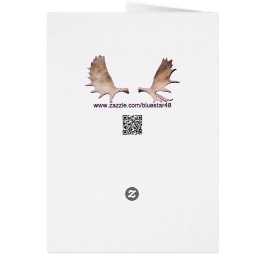 Pine Cone Owl (Hinten)