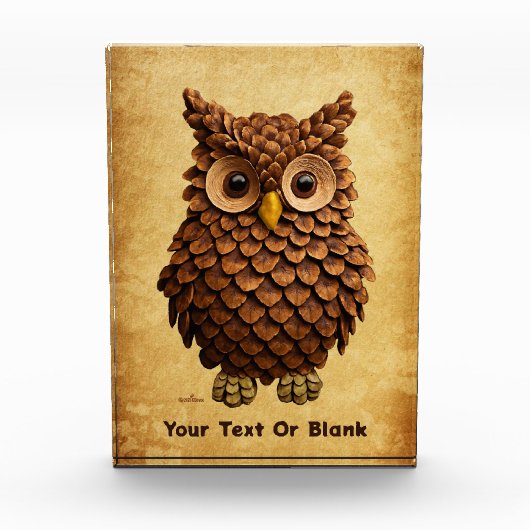 Pine Cone Owl Fotoblock (Vorderseite)