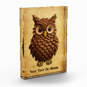 Pine Cone Owl Fotoblock (Links)