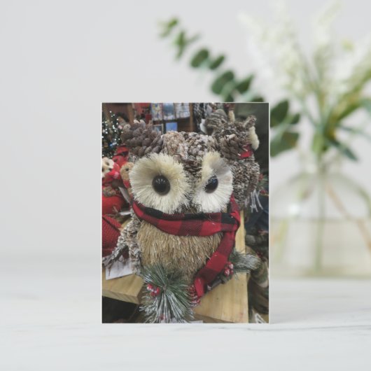 Pine Cone Owl Postkarte (Stehend Vorderseite)