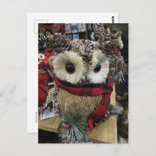 Pine Cone Owl Postkarte (Vorne/Hinten)