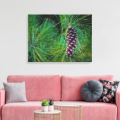 Pine Cone Portrait Leinwanddruck (Insitu (Wohnzimmer))