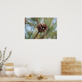 Pine Cone Poster (Küche)