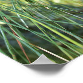 Pine Cone Poster (Ecke)
