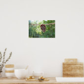 Pine Cone Poster (Küche)