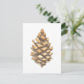 Pine Cone Postkarte (Stehend Vorderseite)