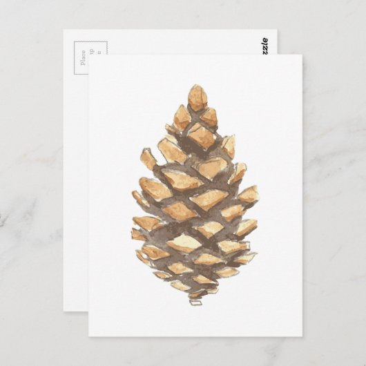 Pine Cone Postkarte (Vorne/Hinten)