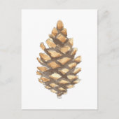 Pine Cone Postkarte (Vorderseite)