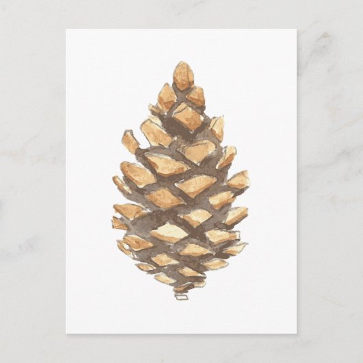 Pine Cone Postkarte (Vorderseite)