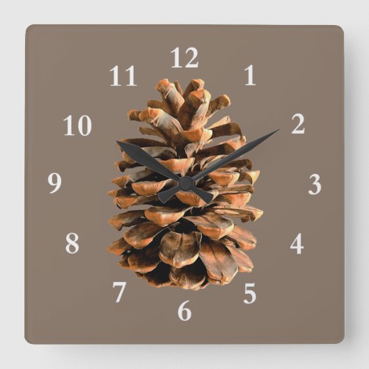 Pine Cone Quadratische Wanduhr (Vorderseite)